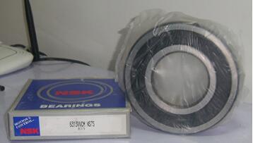 NSK 6313VV Bearing